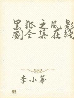 黑狐之风影电视剧全集在线观看免费