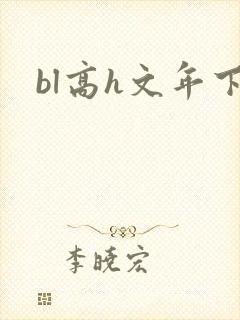 bl高h文年下封面