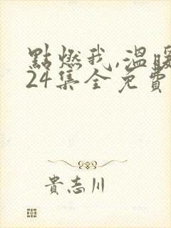 点燃我,温暖你24集全免费