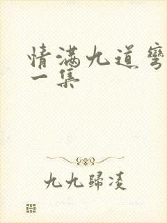 情满九道弯最后一集封面