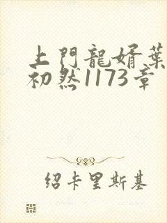 上门龙婿叶辰萧初然1173章