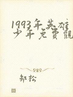 1993年英雄少年免费观看高清封面