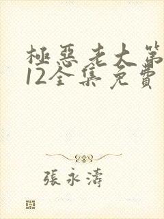 极恶老大第二季12全集免费观看
