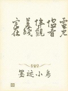 完美伴侣电视剧在线观看免费