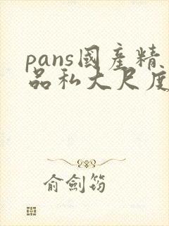 pans国产精品私大尺度