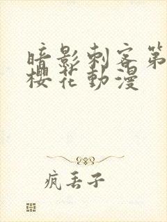 暗影刺客第4季樱花动漫