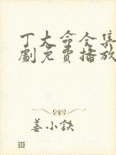 丁大命全集电视剧免费播放