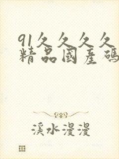 91久久久久久精品国产码
