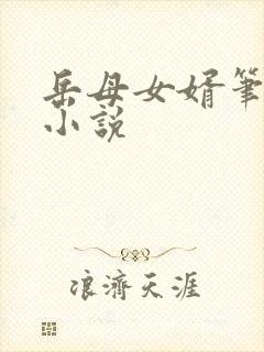 岳母女婿笔趣阁小说