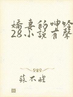 娇妻的呻吟1—28小说有声