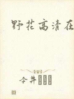 野花高清在线