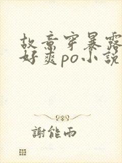故意穿暴露被强好爽po小说封面