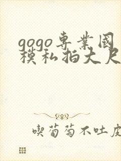 gogo专业国模私拍大尺度