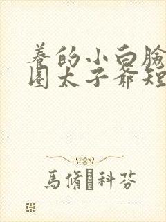养的小白脸是京圈太子爷短剧