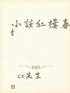小说红楼春txt