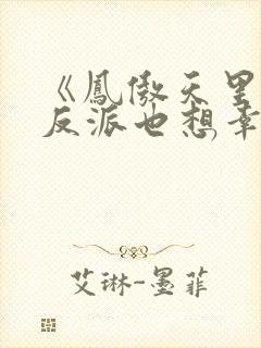 《凤傲天里黄毛反派也想幸福》小说