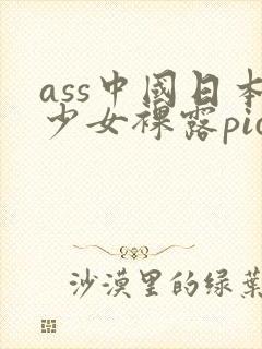 ass中国日本少女裸露pic
