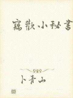 窃欢小秘书