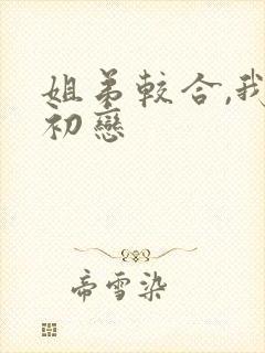 姐弟较合,我的初恋