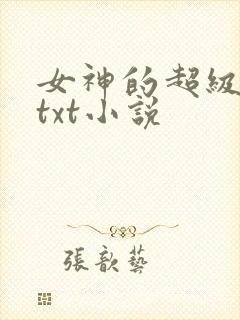 女神的超级赘婿txt小说