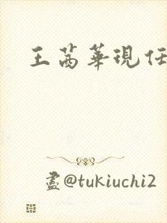 王茜华现任老公封面