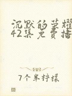 沉默的荣耀1—42集免费播放视频封面