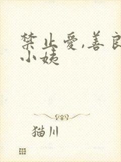 禁止爱,善良的小姨