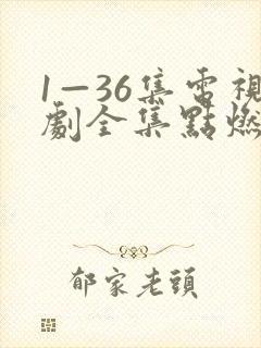 1—36集电视剧全集点燃我温暖你