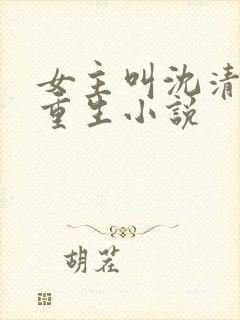 女主叫沈清梨的重生小说