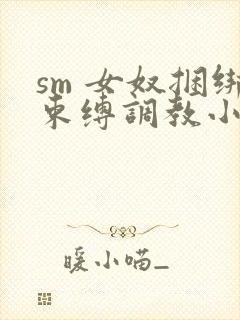 sm 女奴捆绑束缚调教小说