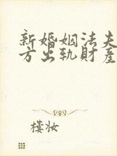 新婚姻法夫妻一方出轨财产怎么分割