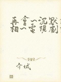 再会~沉默的真相~电视剧观看