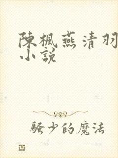 陈枫燕清羽玄幻小说