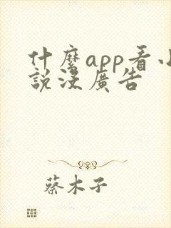 什么app看小说没广告