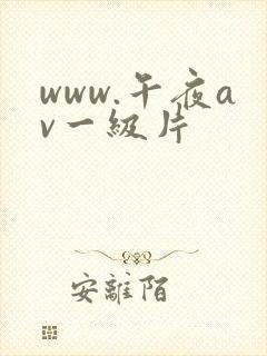 www.午夜av一级片封面