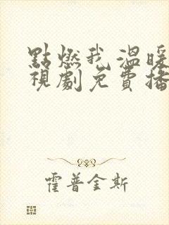 点燃我温暖你电视剧免费播放
