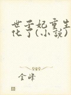 世子妃重生后黑化了(小说)