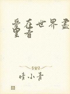 爱在世界尽头哪里看封面