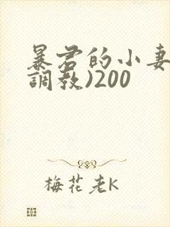 暴君的小妻奴(调教)200
