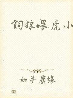 饲狼喂虎小说封面