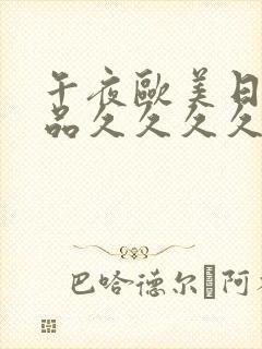 午夜欧美日韩精品久久久久久封面