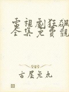 电视剧狂飙风暴全集免费观看高清封面