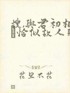 搜,与君初相识·恰似故人归