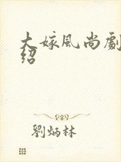 大嫁风尚剧情介绍封面