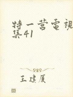 特一营电视剧全集41