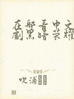 在哪看中文版韩剧黑暗荣耀第二季