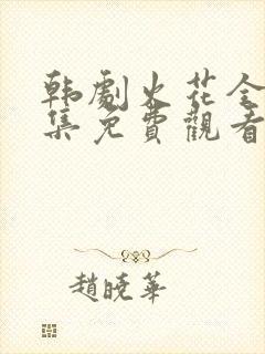 韩剧火花全32集免费观看普通话版封面