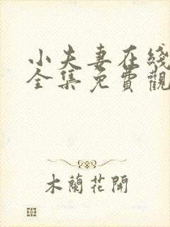 小夫妻在线观看全集免费观看高清封面