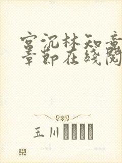 宫沉林知意最新章节在线阅读