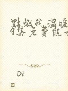 点燃我温暖你29集免费观看